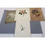 19th century Four Botanical Watercolours of Flowering Blooms (unframed)
