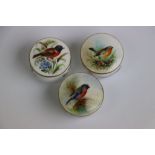 Pair of early 20th century hand painted Royal Worcester patch pots, each depicting a bird together