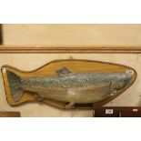 Wooden Board mounted model of a 12 1/4lb Wild rainbow trout with catch information & a booklet on