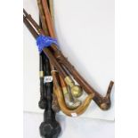 Collection of Seven Walking Sticks including Root Handled and Brass Snake Handled