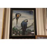 Framed Signed Oil Painting Study of Two Blue Macaws on Tree Boughs