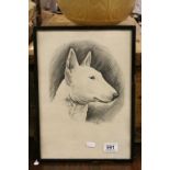 Portrait of a Staffordshire Bull Terrier signed Franklin