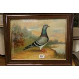 Framed Oil Painting Study of a Racing Pigeon in a Country Landscape