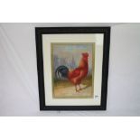 Oil Painting of a Cockerel, 38cms x 26cms, framed and glazed