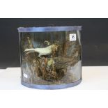 Small display of vintage Taxidermy Birds in half circular case with later perspex front, measures