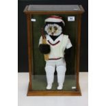 Wooden & glazed Display case with soft toy model of an Owl in Cricket gear, case measures approx