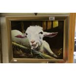 Framed Oil on canvas of a Goat and signed "Philip King", description to verso "My Friend Heidi",