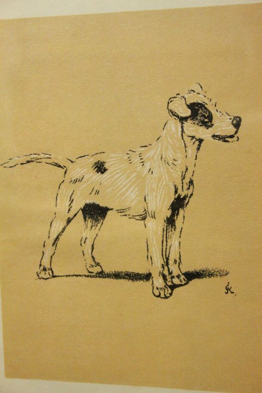 Cecil Aldin circa 1902 framed print study of a Terrier Dog - Image 2 of 2