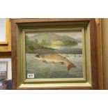 Oil Painting of a Trout in River, 27cms x 32cm, framed and glazed