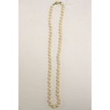 Cultured pearl necklace set with a 9ct yellow gold clasp