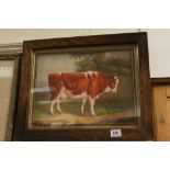 Oak framed Bovine oil painting of a cow in a landscape