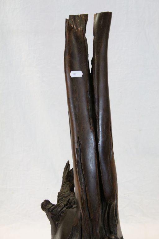 Hardwood Tree Root of Sculptural Form - Image 3 of 4