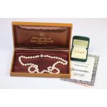 Single strand pearl necklace comprising seventy-three spherical cultured cream pearls with pink