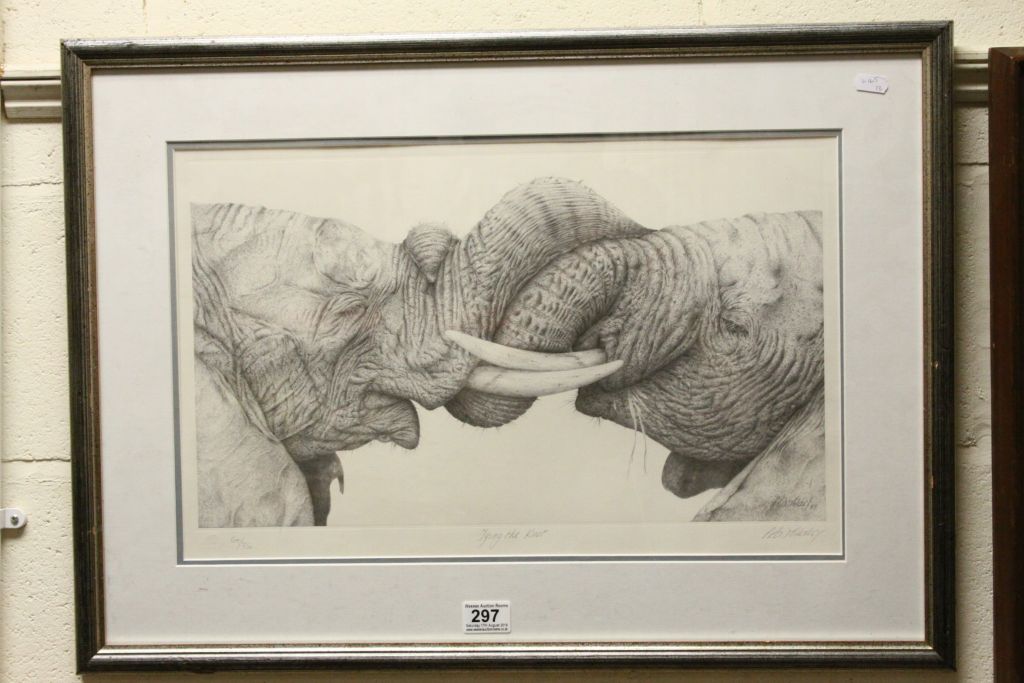 Wildlife interest, signed ltd edn print of Elephants entitled "Tying The Knot"