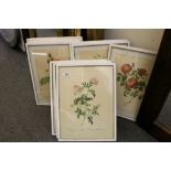 Pierre Redoute set of vintage framed prints of roses (11 in total)