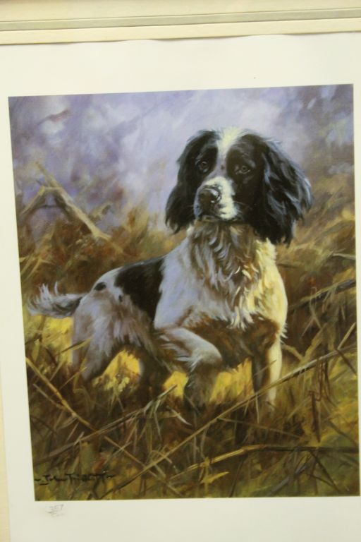 Debbie Gillingham ltd edn print of a Working Dog Spaniel and another after John Trickett - Image 7 of 8