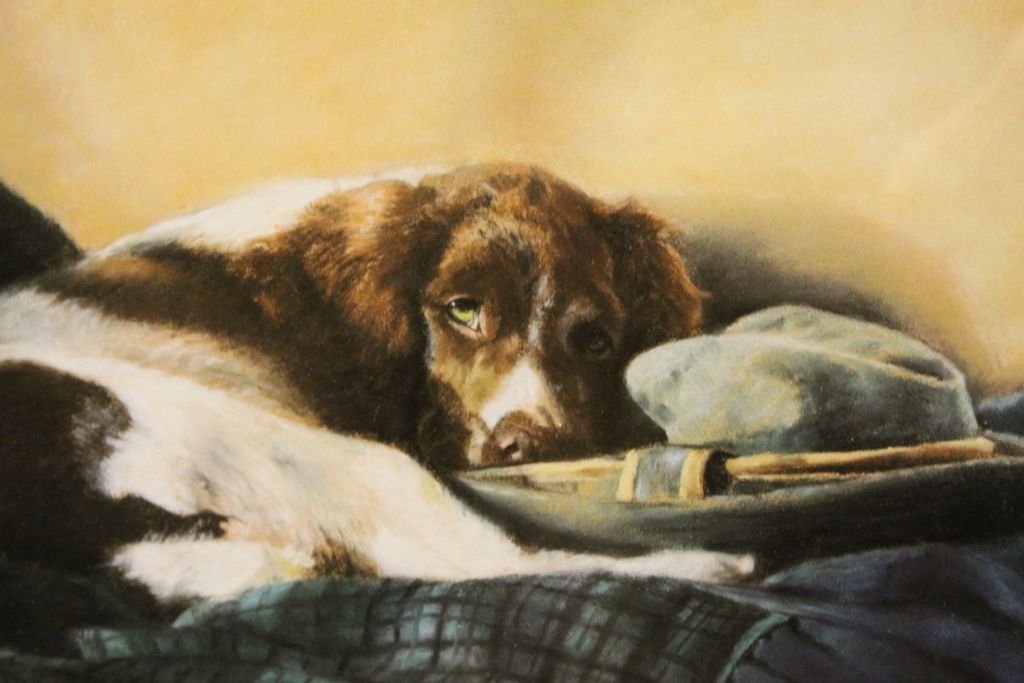 Debbie Gillingham ltd edn print of a Working Dog Spaniel and another after John Trickett - Image 6 of 8