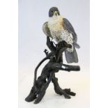 Large painted Resin model of a Goss Hawk on a Branch, stands approx 61cm