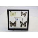 Set of Four Taxidermy Butterflies, framed and mounted in a clear case