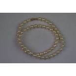 Row of cultured pearls with gold clasp