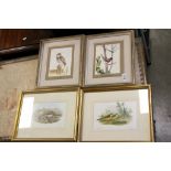 Pair of Bird Watercolours of a Warbler and Owl together with two bird prints (4)