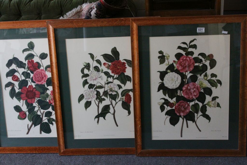 Set of 3 wooden framed botanical prints