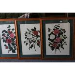 Set of 3 wooden framed botanical prints