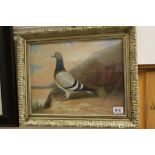 Gilt framed oil painting of a Racing Pigeon in a Highland Landscape