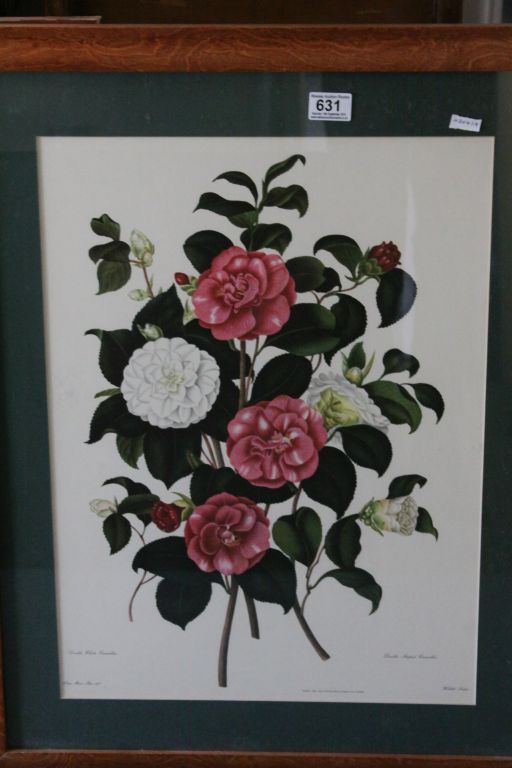 Set of 3 wooden framed botanical prints - Image 2 of 2