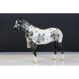 Beswick ceramic No.1772a Appaloosa Stallion in "Black & White" Colourway No.1, standing approx.20.