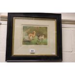 Ebonized framed & glazed coloured Dog print of a Yorkshire Terrier, Italian Greyhound & a Pug