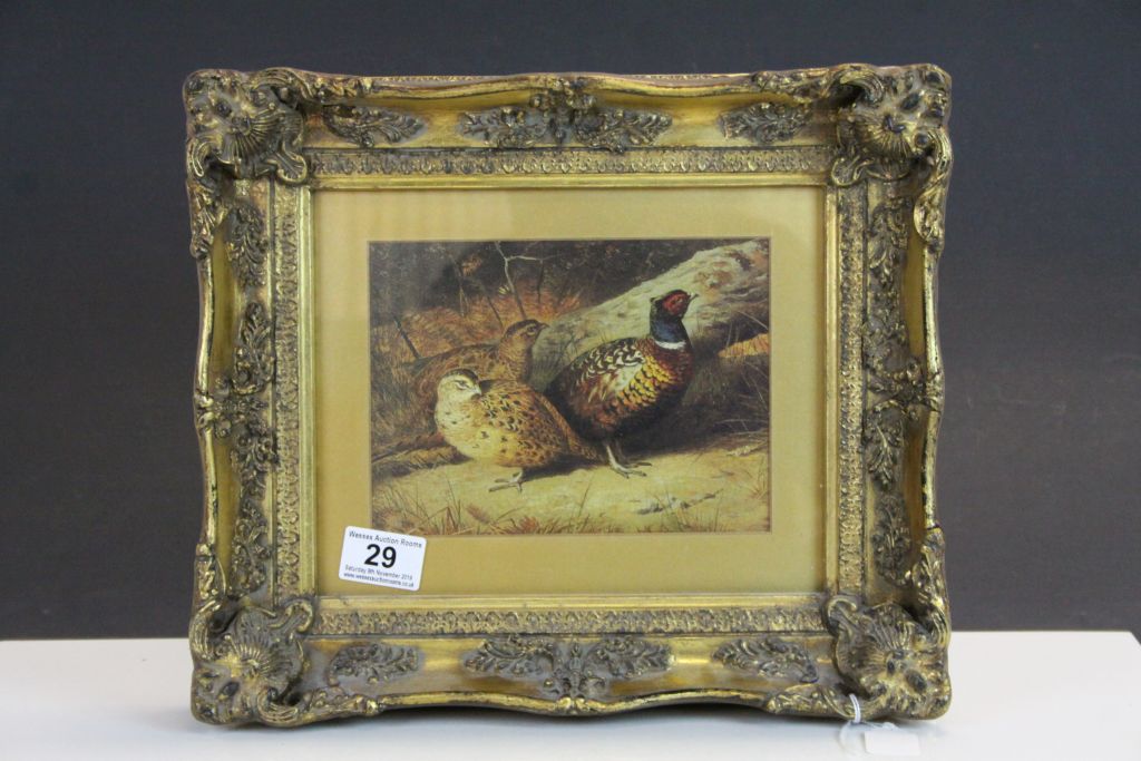 Ornate Gilt framed & glazed Print depicting Pheasants, image approx 15 x 19cm