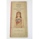 Vintage Anatomy Book "Philip's Model of the Human Body (Female) with multi layer Diagram & full