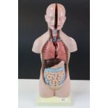 Vintage Plastic Anatomical figure with removable Organs, stands approx 52cm in total, the base