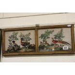 Pair of framed oriental paintings on silk, golden pheasant and one other unknown birds, approx. 18 x