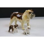 Three Beswick ceramic models of British Bulldogs to include a large example marked "Ch. Basford