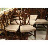 Set of Eight Reproduction Shield Back Dining Chairs (including Two Carvers)