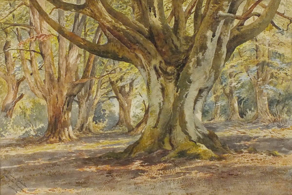 W. Stuart ROBERTSON (19th/20th Century)  Woodland, Watercolour, Signed by artists daughter lower