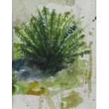 Jonathan HAYTER (British b. 1959) Fern - Carn Euny, Watercolour, Signed, titled and dated 2017 to