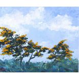 Joan SPEIGHT (British b. 1941) Gorse in Bloom - Pendeen, Acrylic on canvas, Signed with initials