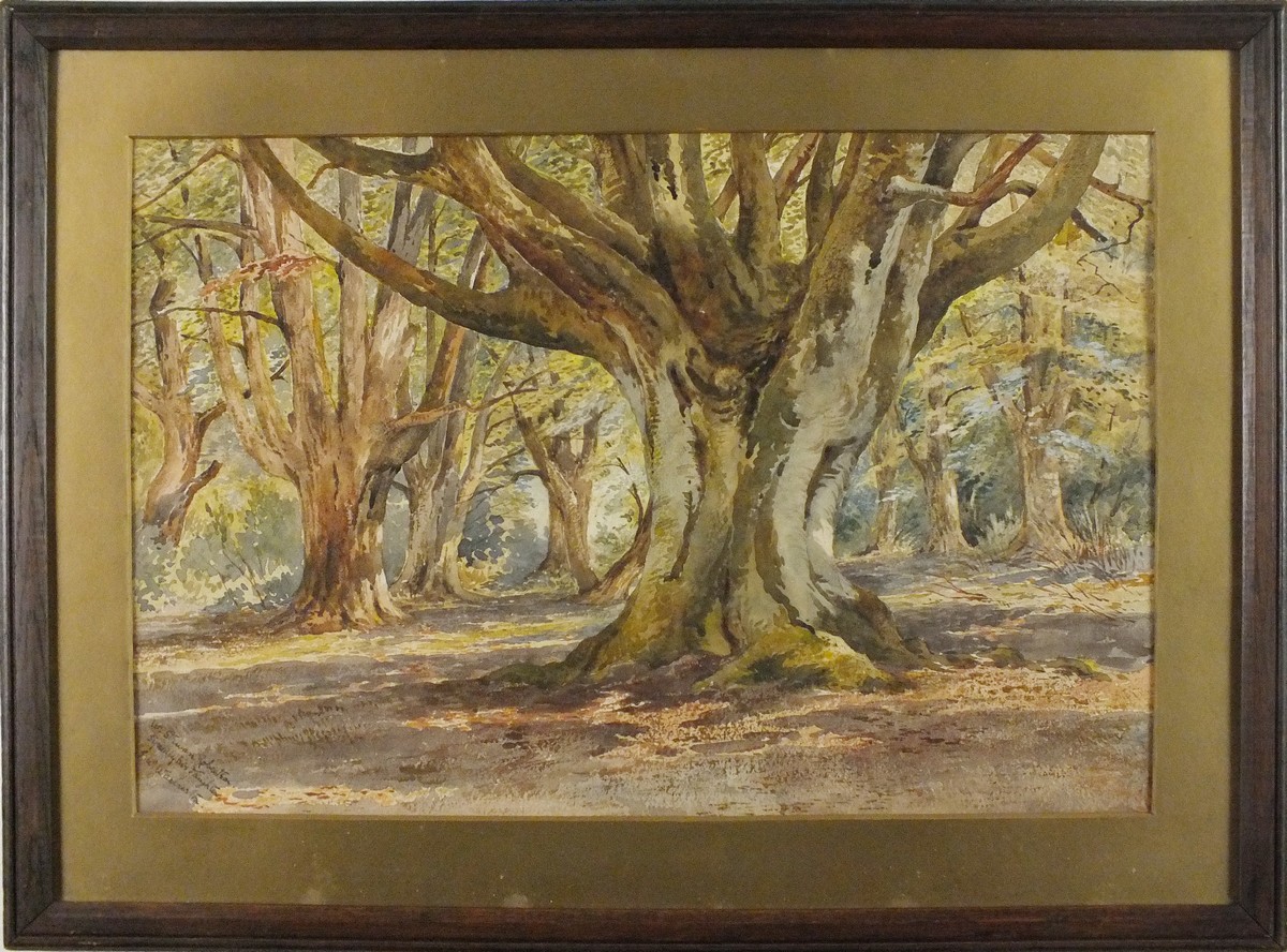 W. Stuart ROBERTSON (19th/20th Century)  Woodland, Watercolour, Signed by artists daughter lower - Image 2 of 2