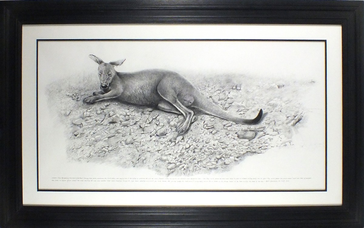 Robin ARMSTRONG (British b. 1947) Eastern Grey Kangaroo, Pencil and charcoal, Signed and dated - Image 2 of 2