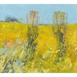 Sheila TOLLEY R W A (British b.1939) Cornish Summer Meadow, Oil on board, Signed with monogramme