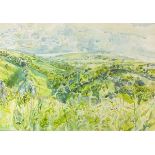 Mary MARTIN (British b.1951) Cornish Landscape, Watercolour, Signed lower left, 15" x 22" (38cm x