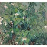 Geoffrey UNDERWOOD (British 1927-2000) Buddleja, Oil on board, Signed and dated '73 lower right,