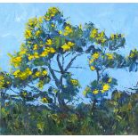 Joan SPEIGHT (British b. 1941) Early Gorse, Oil on board, titled and signed verso, 12" x 12" (30cm x