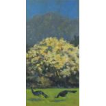 Robert JONES (British b. 1943) Blossoming Tree & Peacocks, Pasadena, Oil on paper, Signed with