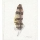 Lou JOHNS (British b. 1971) Buzzard Feather, Watercolour, Signed lower right, titled verso, 2.75"