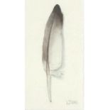 Lou JOHNS (British b. 1971) Gull Feather, Watercolour, Signed lower right, titled verso, 6.25" x 3.