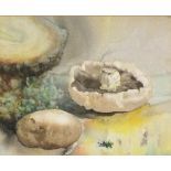 Ansell HAWKINS (British 20th Century) Mushroom & Potato with Firewood, Watercolour, Signed lower